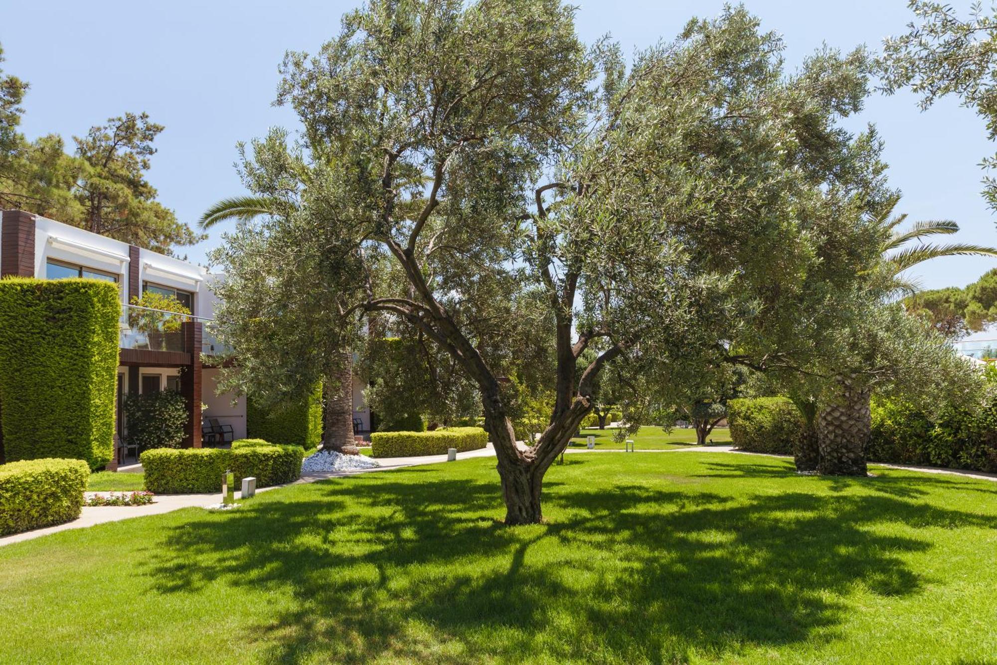 Ortunc Hotel - Cunda Island (Adults Only) Ayvalik Exterior photo